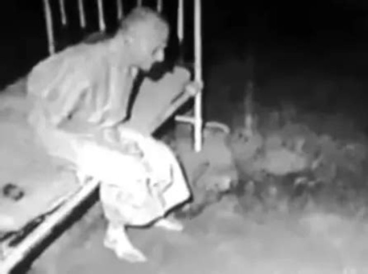 Uncover The Enigmatic "Abigail Western Age"