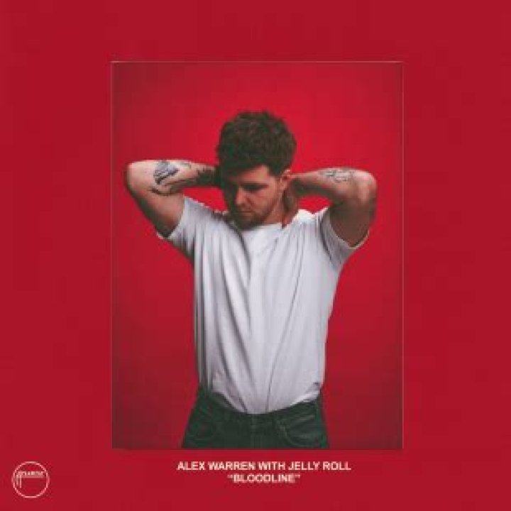 Unlocking The Power Of Scars: Discoveries From "alex Terrible.scar"