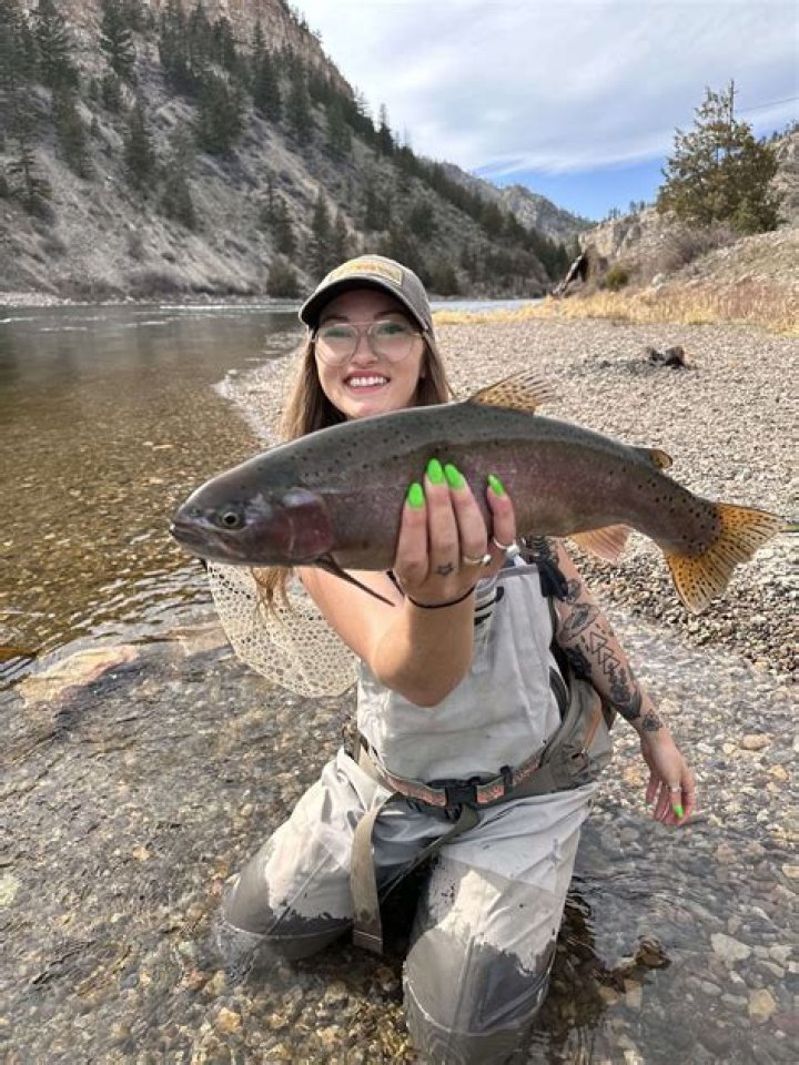 Unveiling The Legacy And Impact Of Willie Nelson's Daughter