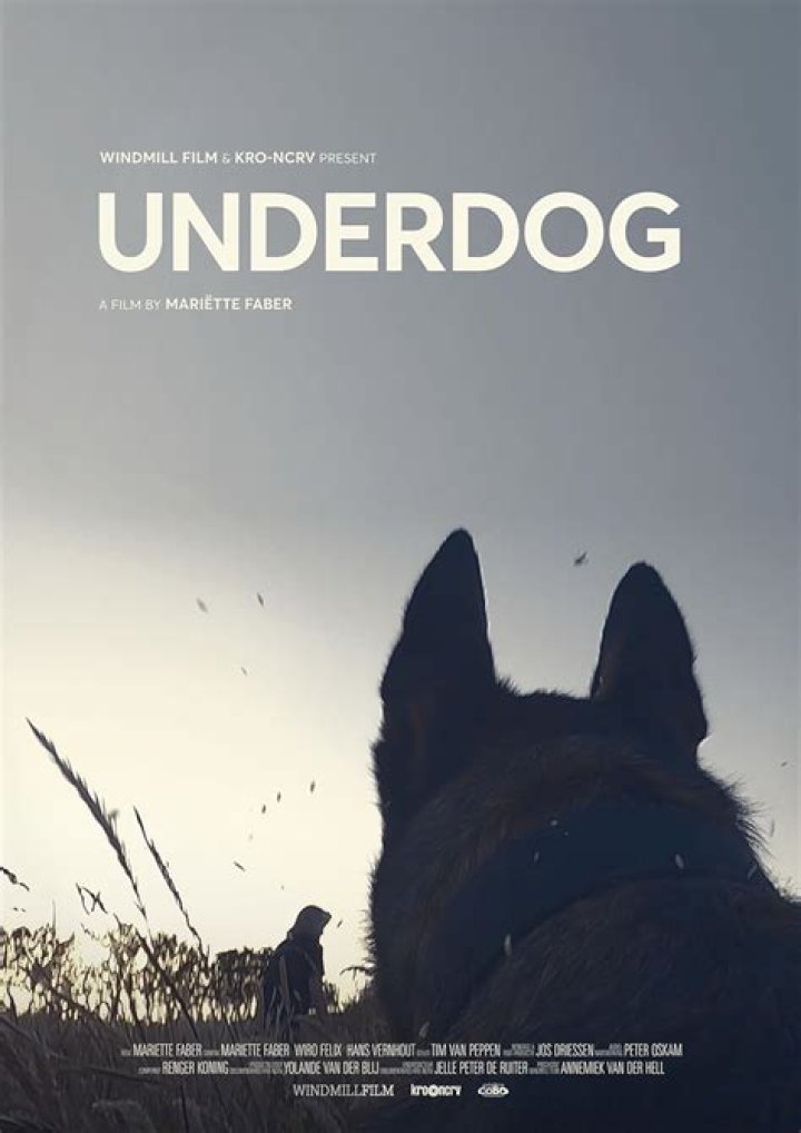 Unveiling The Truth: Banning The Underdog 2022