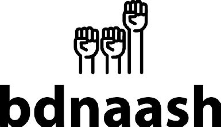 Discoveries And Insights From Bdnaash Website