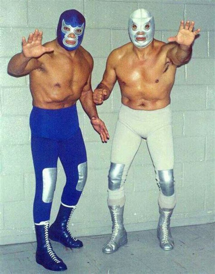 Discover The World Of The Black Shadow Luchador