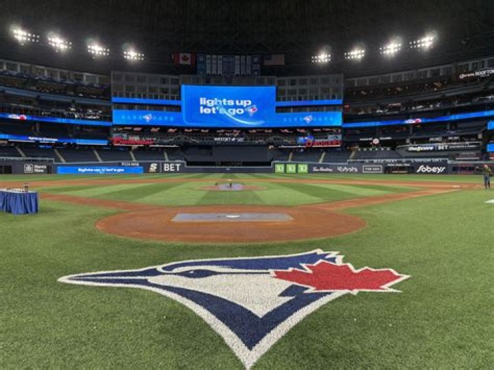 Discover The Allure Of Blue Jays Player Dollar Tree