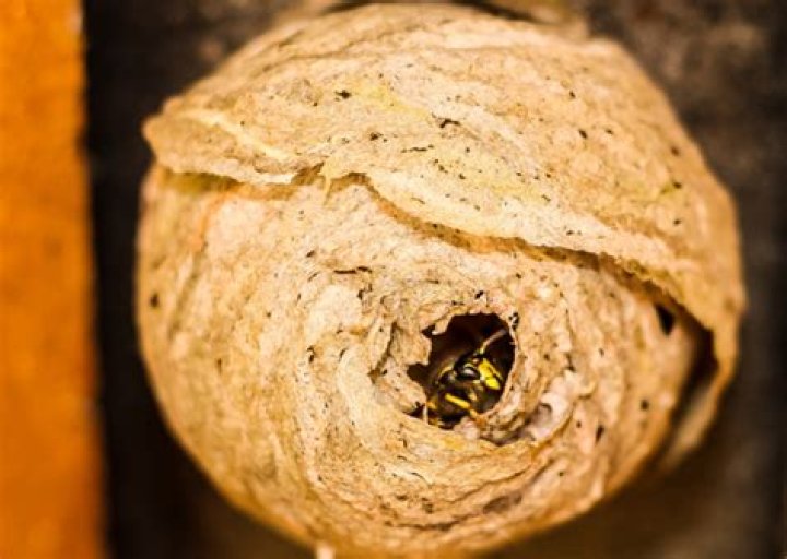 Uncovering The Wealth Behind The Rock Legend