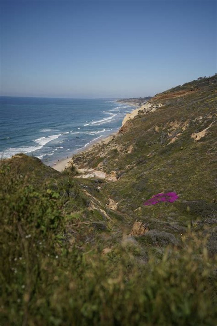 Unveil The Closest Ocean To Phoenix: Discoveries And Insights