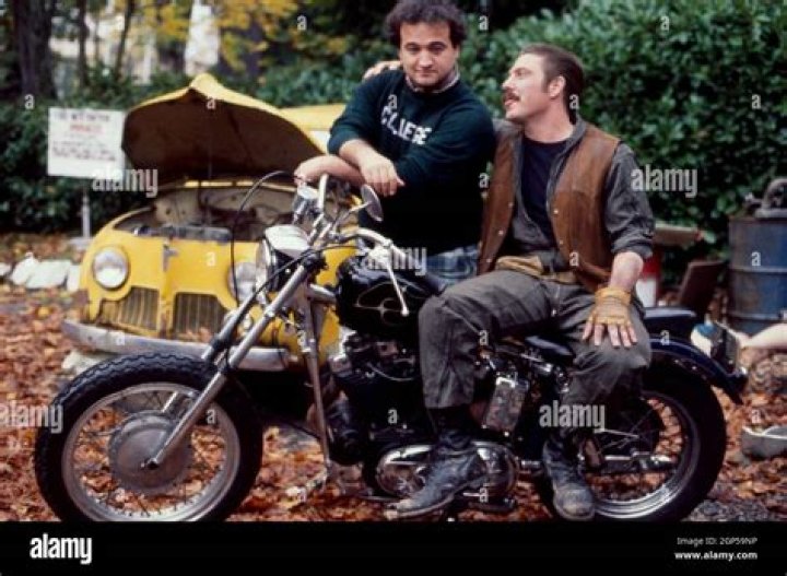 Unveiling The Secrets And Consequences Of D-Day Animal House