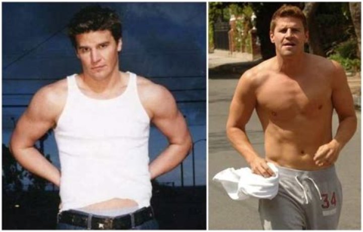 Uncover The Secrets Of David Boreanaz's Height And Its Impact