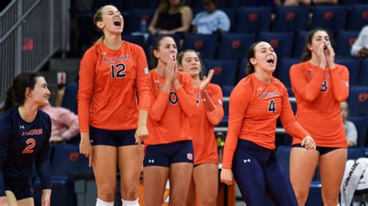Unveiling Volleyball Mastery And Inspiring Success