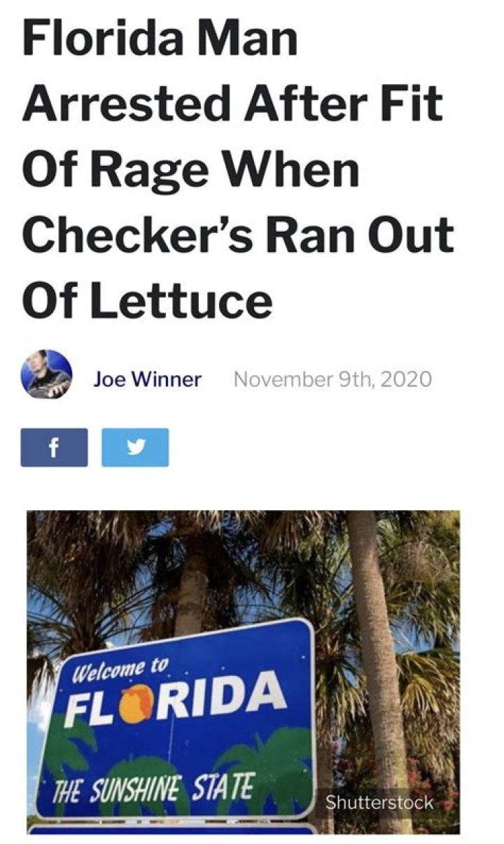 Unveiling The Eccentric World Of "Florida Man November 10": Discoveries And Insights