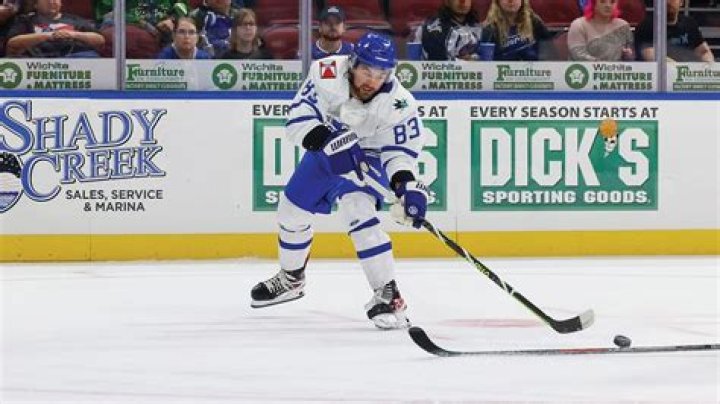 Unveiling Jake Wahlin's Hockey Prowess: Discoveries And Insights