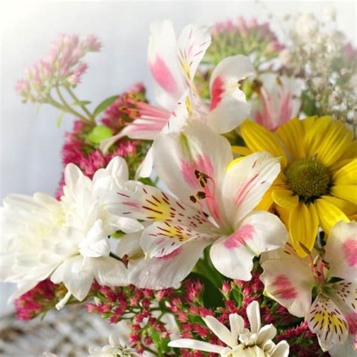 Unlock The Extraordinary Life And Legacy Of Joe Toole: An Obituary Exploration