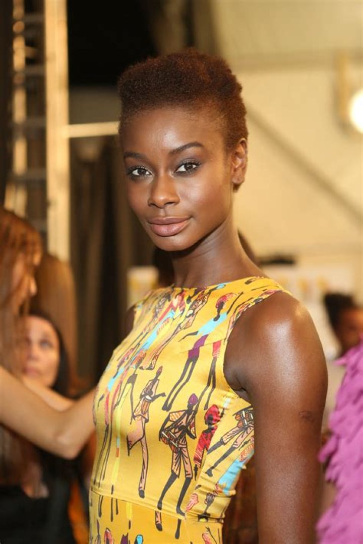 Lisa D'Amato's Net Worth Explored