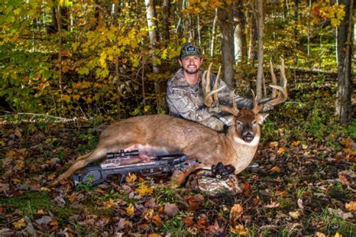 Unlock The Secrets Of North Carolina Deer Hunting: Discoveries Await!