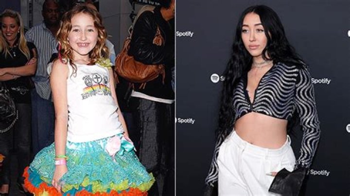 Insights From Noah Cyrus's Journey