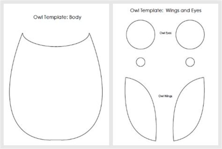 Discover The Secrets Of Owl Wing Templates