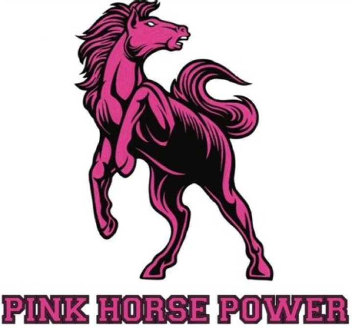 Unleash The Power Of Pink Horse Power Reviews: Discoveries And Insights Await