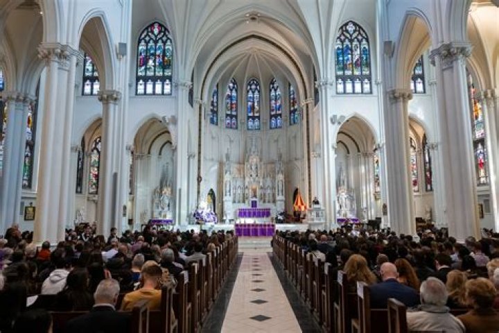 Uncover The Secrets Of Cosmetic Surgery With Dr. Regis Haid In Atlanta