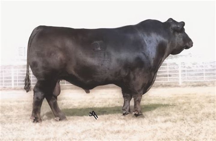 Uncover The Secrets To Building A Strong "sav Net Worth" For Financial Empowerment