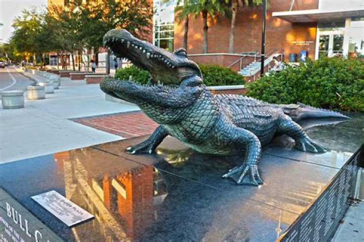 Discover The Transformative Power Of "Skip The Games Gainesville"