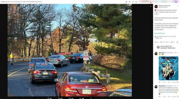 Discover The Revolutionary Insights Of Sophie Marika Ross In Tech