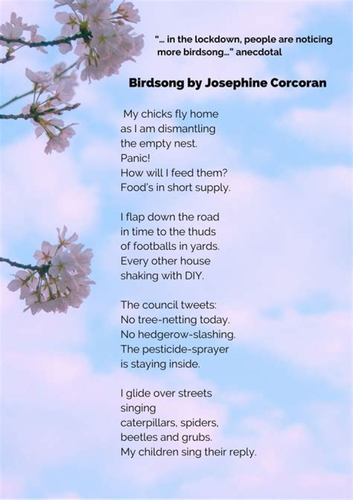 Unveiling The Timeless Message Of "In Flanders Fields"