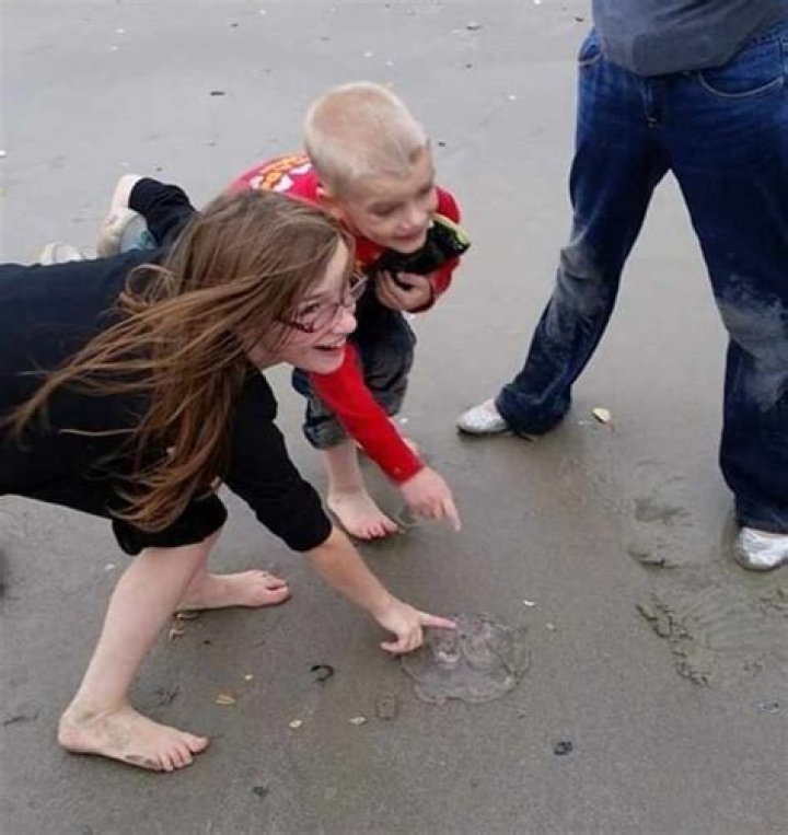 The Hidden Truth Behind Timothy Ferguson's Death Photos Revealed