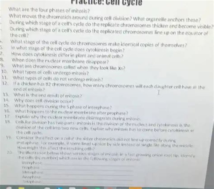 Unveiling The Masterminds Of Chromosome Movement In Cell Division