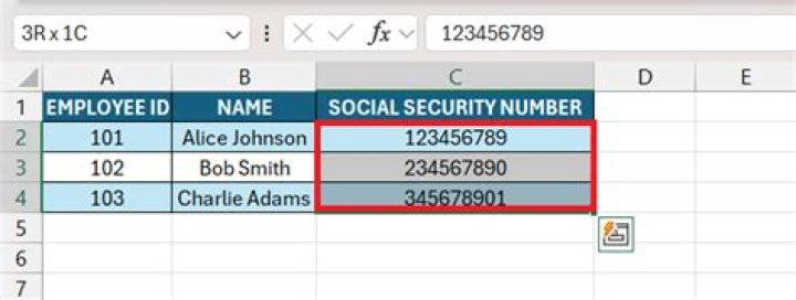 What to do if your SSN is missing?