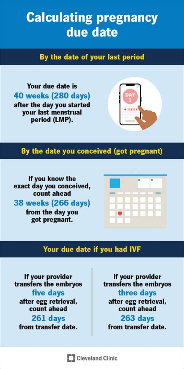 When did I conceive if my due date is October 26?